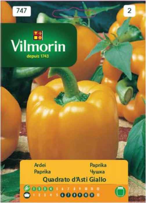 SEED PEPPER QUAD. YELLOW VILMORIN
