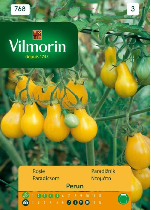 TOMATO SEEDS YELLOW PERUN VILMORIN