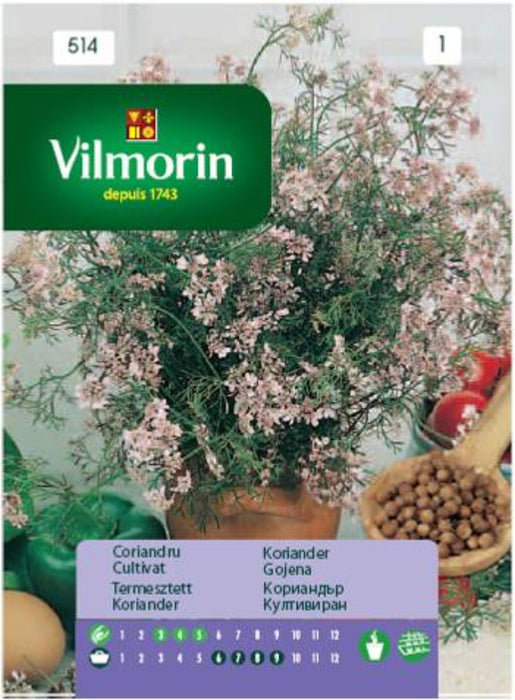 CORIANDER SEEDS CULT.VILMORIN