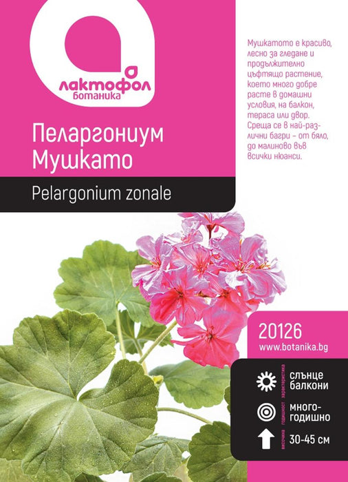 PELARGONIUM SEEDS BOTANICAL