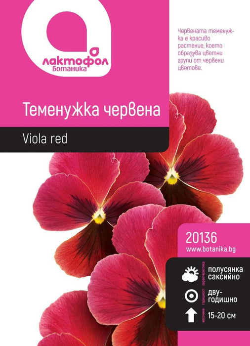 SEED VIOLET RED BOTANICAL