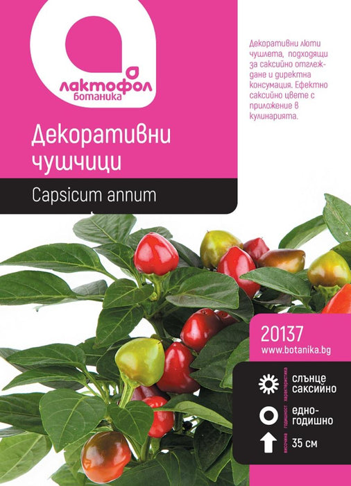 SEEDS DECORATIVE PEPPERS BOTANICAL