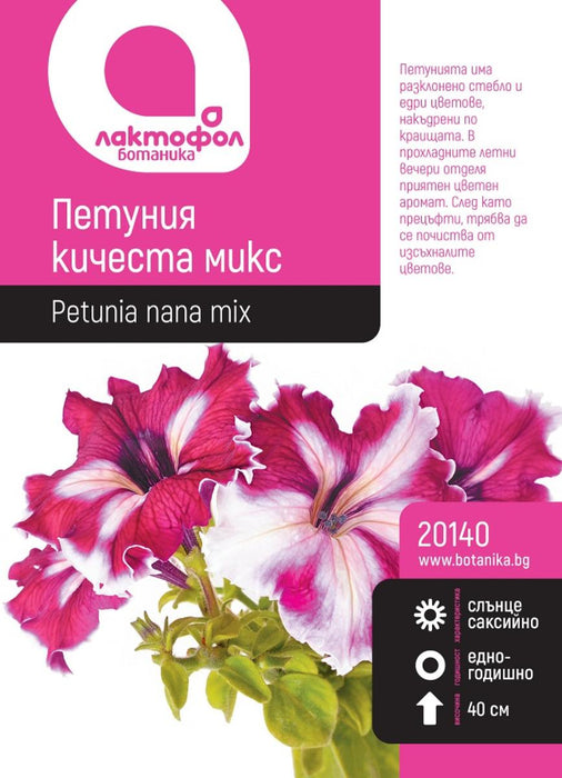 PETUNIA KISHESTA SEEDS BOTANIST