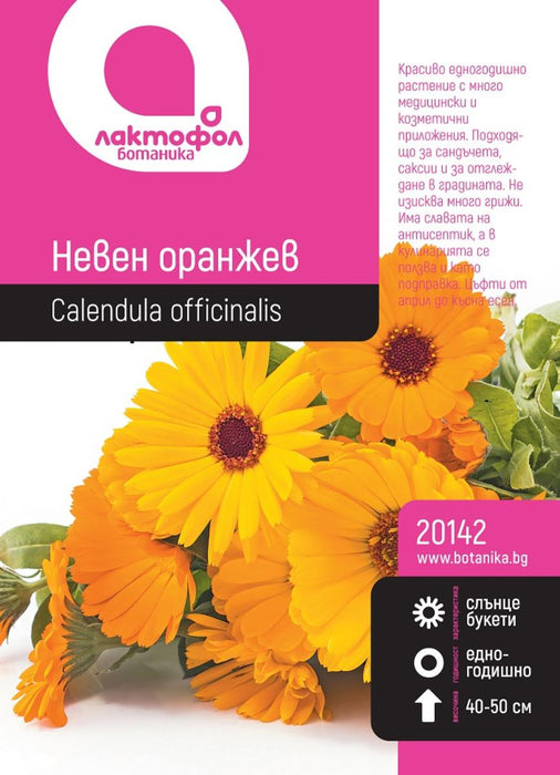 CALENDAR ORANGE BOTANICAL SEEDS