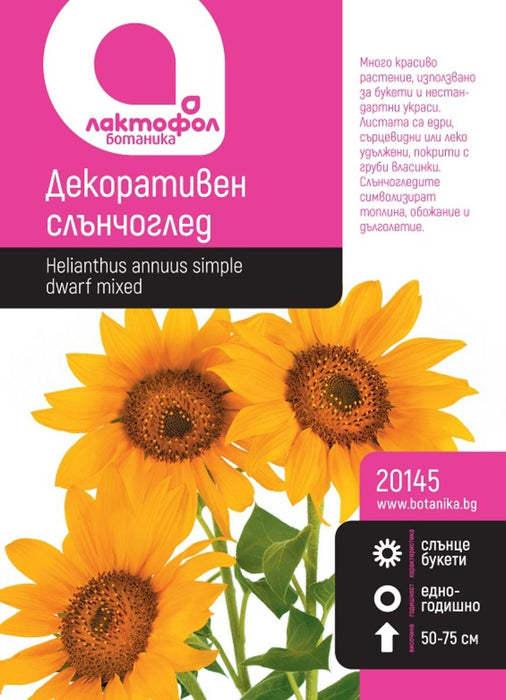 SEEDS DECORATIVE SUNFLOWER BOTANICAL