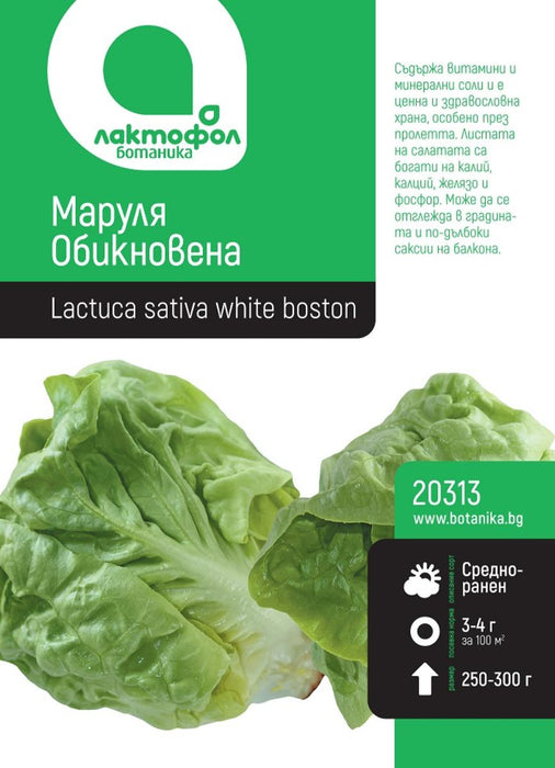 SEED LETTUCE COMMON BOTANIST