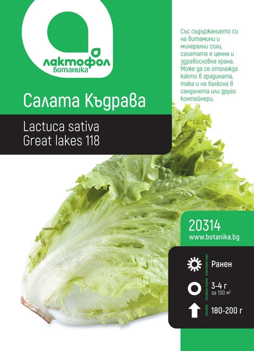 SEED LETTUCE CURLY BOTANIC