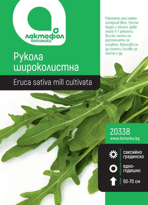 BROAD LEAF ARUGULA SEED BOTANICAL