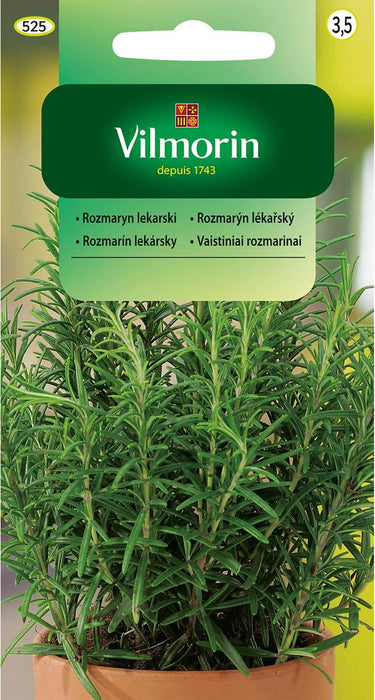 ROSEMARY VILMORIN SEEDS