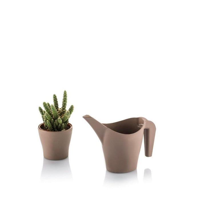 GARDENIA CACTUS WATERING POT