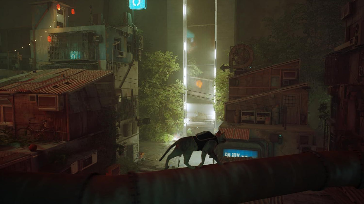Stray Game (NSW)