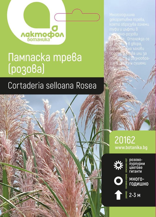 DECORATIVE PAMPASCA GRASS LACTOFOL