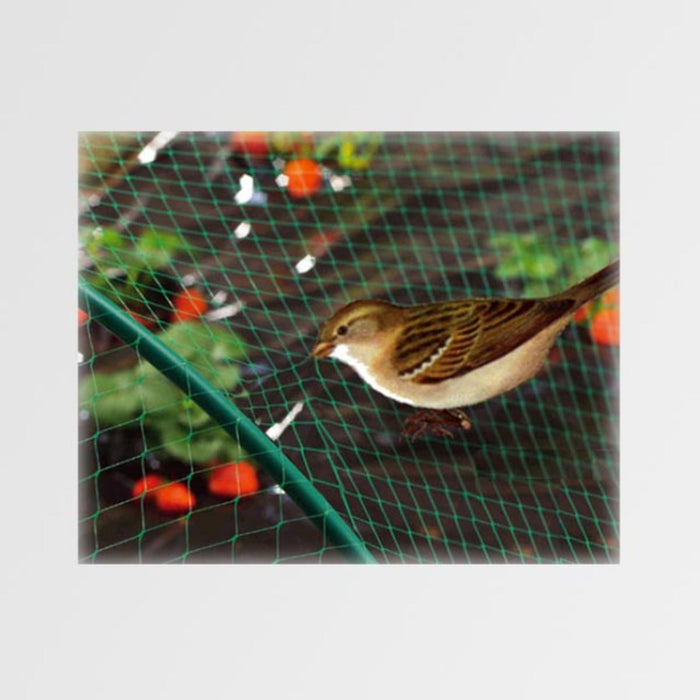 ANTI-BIRD NETTING 4 X 10 M