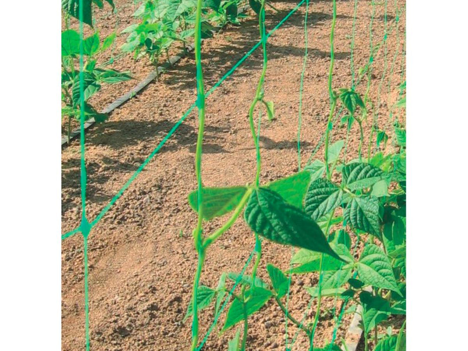 NETTING FOR PLANTS 1.7 X 10 M