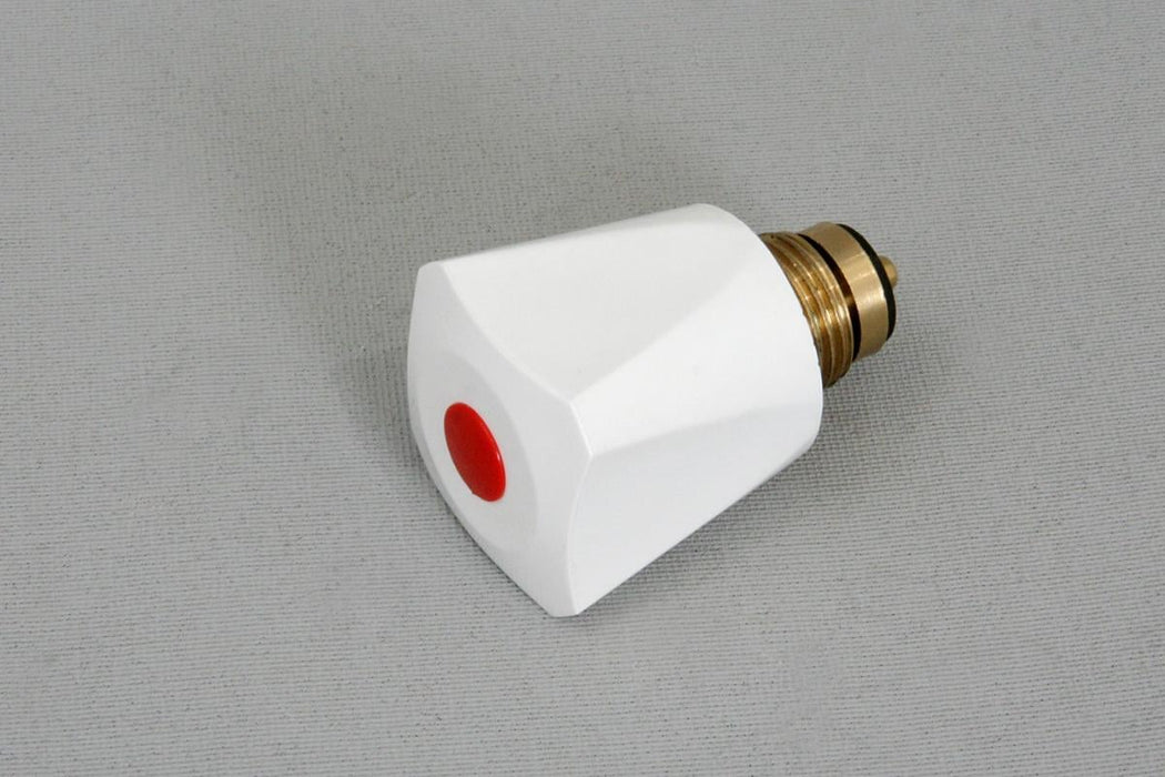 CLOSING MECHANISM WITH HANDLE C100