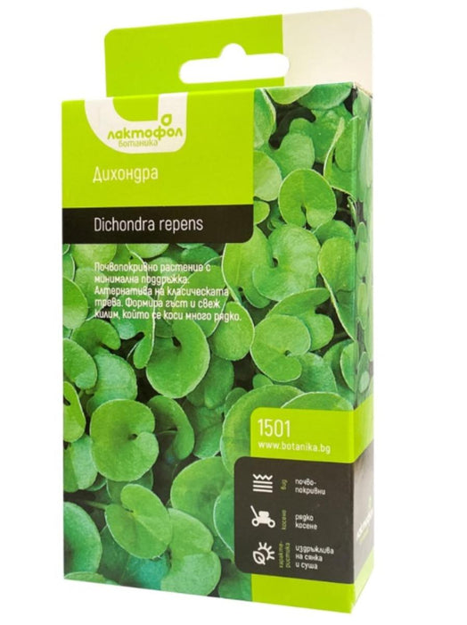 GROUND COVER DICHONDRA SEEDS 100 g.