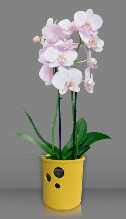 CYLINDER ORCHID POT 13.5 CM YELLOW