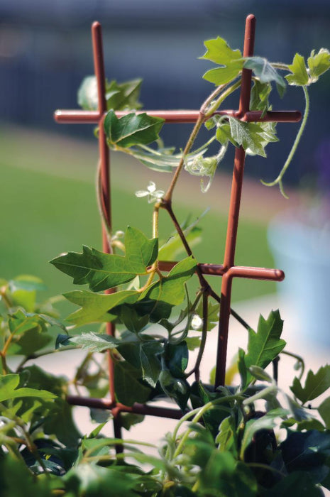 FLOWER LADDER 50CM BROWN