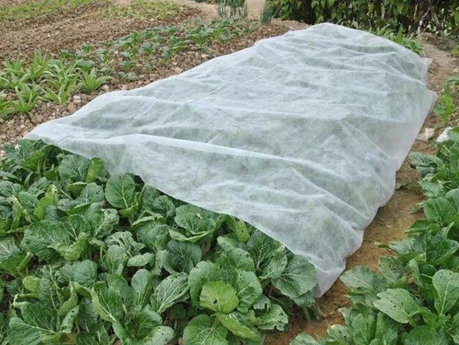 ANTI-FROSTING COVER WHITE 3.2 X 5M 30G