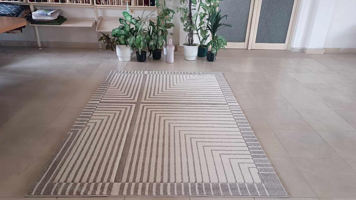 CARPET COHO HAND CUT 5904 200x300 cm