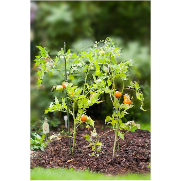 METAL PEG FOR PLANTS F11 MM 60CM