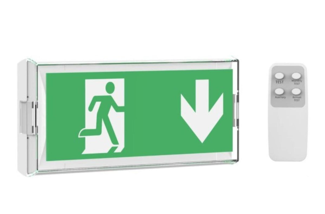 EMERGENCY LIGHT LED 2.5W 100LM IP20 VG