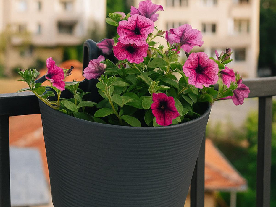 BALCONY BOX DONNA 30CM ANTHRACITE