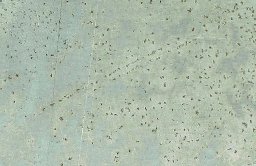 ALUMINUM SHEET 100X40CM SMOOTH
