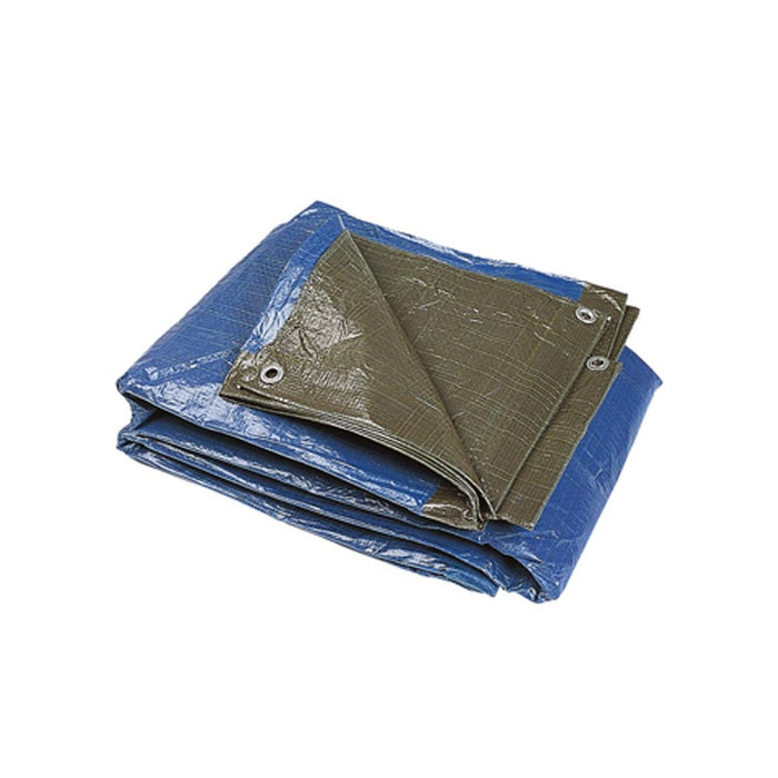 CANVAS 4 X 5 M POLYETHYLENE 70 G/M2