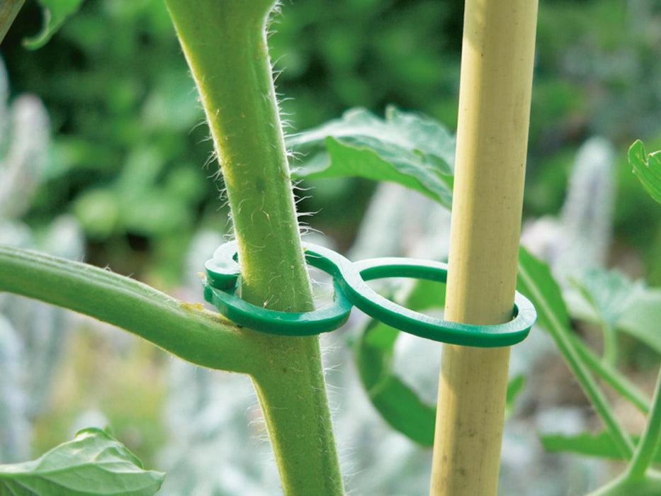FASTENING RING