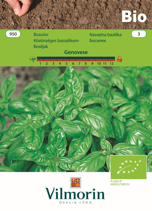 BIO VILMORIN BASIL SEEDS