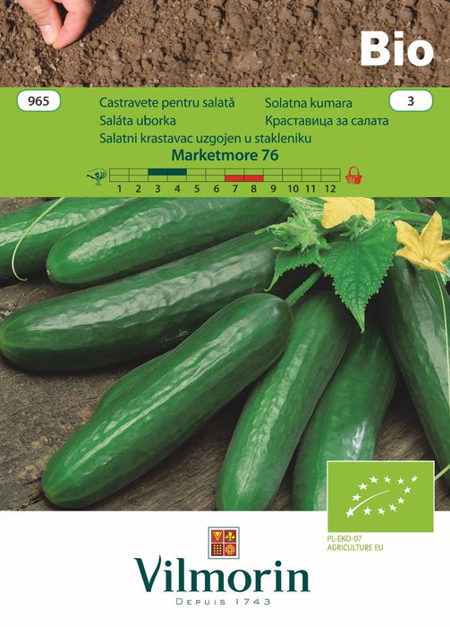CUCUMBER SEEDS MARKETMORE76BIO