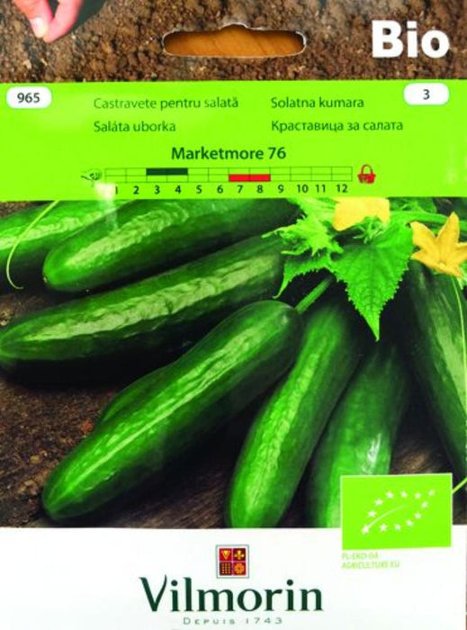 CUCUMBER SEEDS MARKETMORE76BIO