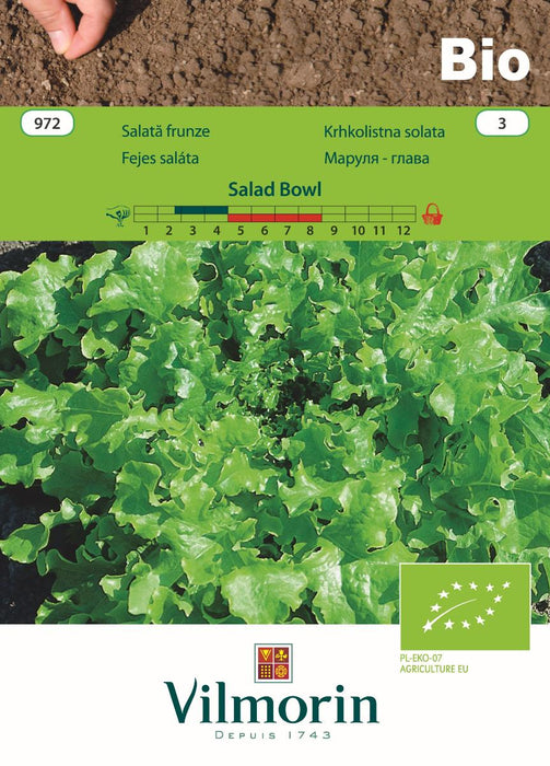 SEED LETTUCE LEAF.BOWL BIO VILMO