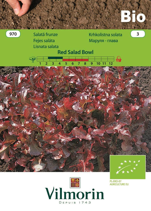 SEED LETTUCE LEAF.RED SAL.BIO VI