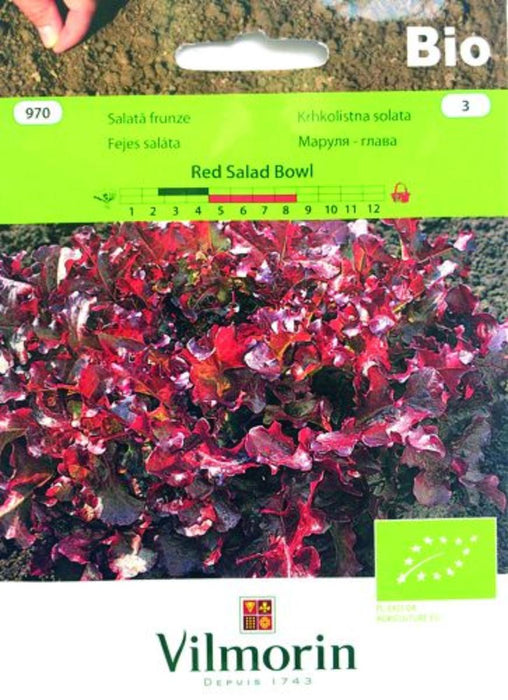 SEED LETTUCE LEAF.RED SAL.BIO VI