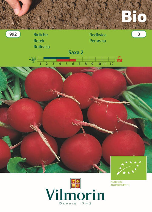RAPES SEEDS SAXA 2 BIO VILMORI