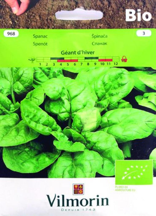 SPINACH SEEDS GEANT D'HIVER BIO C