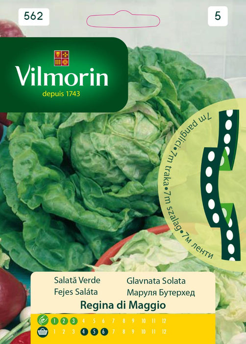 SEED LETTUCE STRIPS REGINA DI MAG