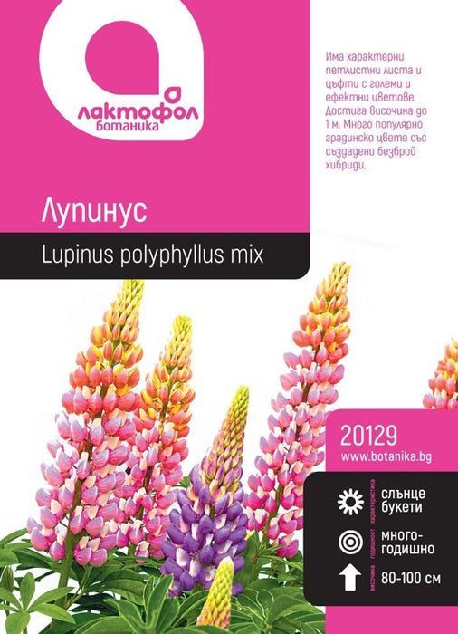 LUPINUS BOTANICAL SEEDS