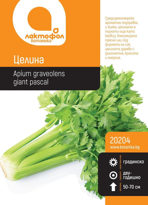 CELERY SEED BOTANIST