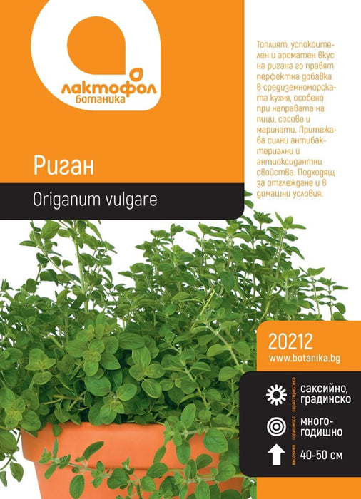 OREGAN SEEDS BOTANICAL