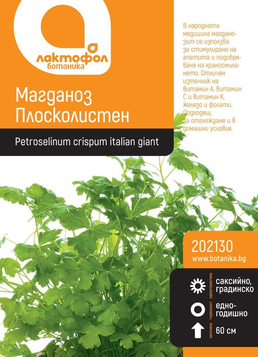FLAT LEAVED PARSLEY SEEDS BOTANICAL
