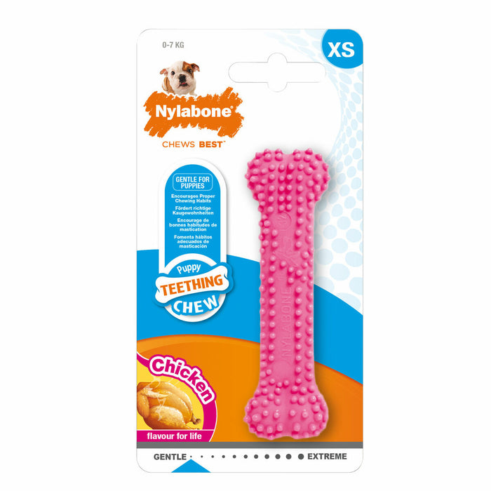 Dog chewing toy Nylabone Birka Pink Chicken XS