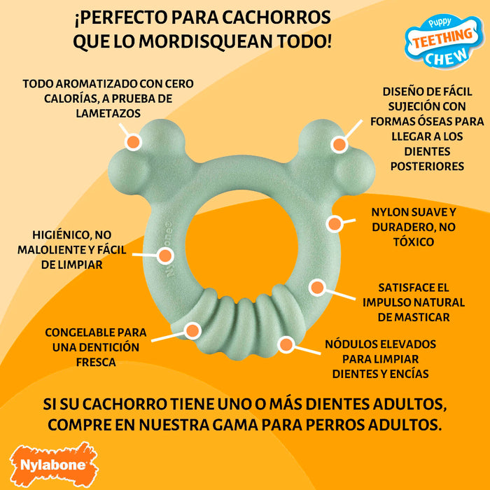 Dog chewing toy Nylabone SENSORY TACTILE RING Green Peanut butter Chicken S