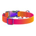 Nylon collar with QR code for Waudog gradient dog orange size XL - Walking and transportation<<<Pets<<<InnproXML