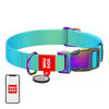 Nylon dog collar with QR code WAUDOG 15 mm wide 25-35 cm long blue - Walking and transportation<<<Pets<<<InnproXML