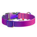 Nylon dog collar with QR code WAUDOG 15 mm wide 25-35 cm long purple - Walking and transportation<<<Pets<<<InnproXML