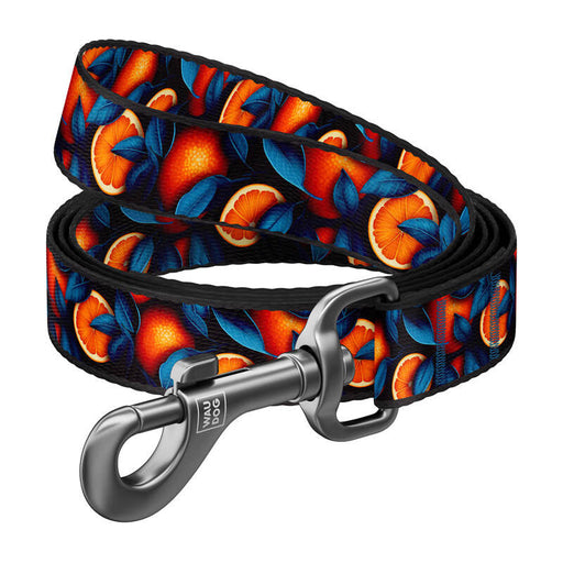 Nylon dog leash pattern ’’Oranges’’ length 122 cm Waudog - Walking and transportation<<<Pets<<<InnproXML