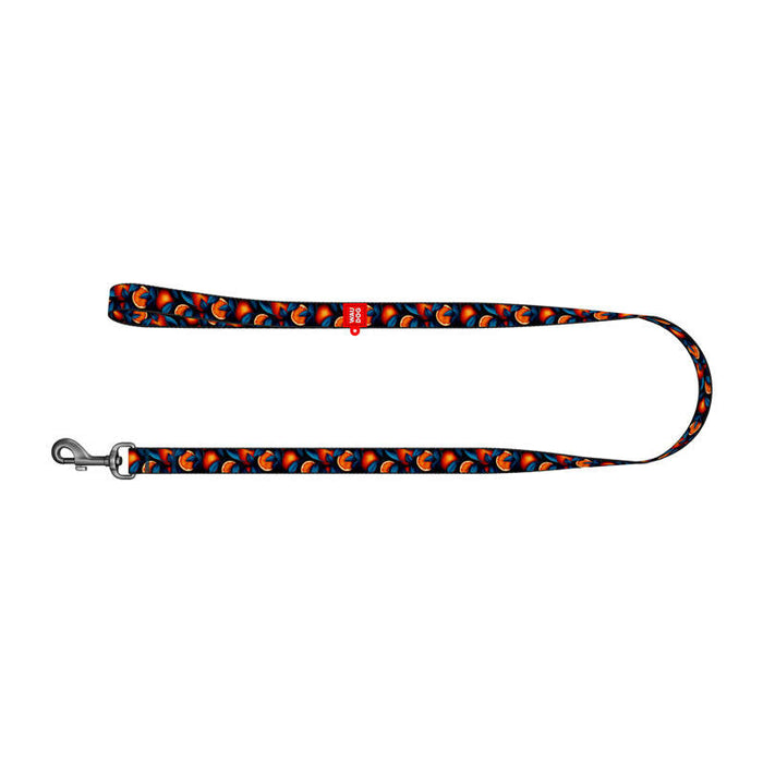 Nylon dog leash pattern ’’Oranges’’ length 122 cm Waudog - Walking and transportation<<<Pets<<<InnproXML